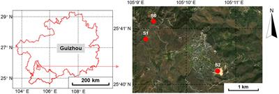 Arbuscular mycorrhizal fungi community analysis revealed the significant impact of arsenic in antimony- and arsenic-contaminated soil in three Guizhou regions